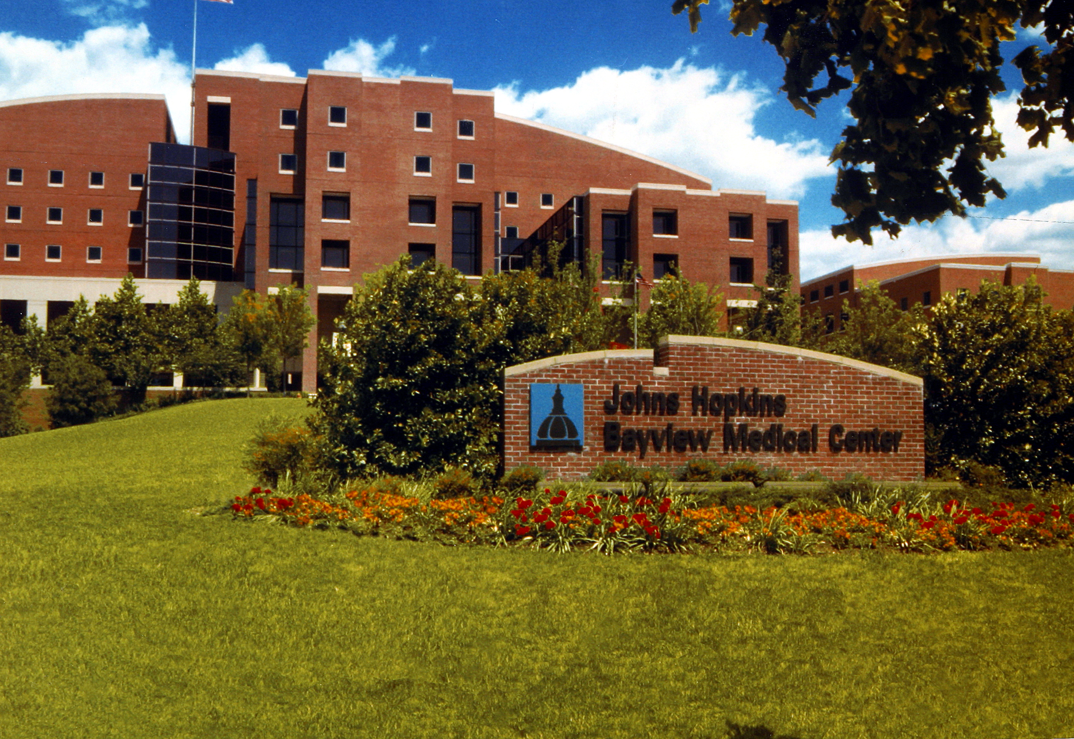 Johns hopkins hospital bayview jobs